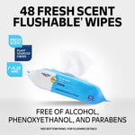 Promotional graphic of Equate flushable wipes with a wipe pulled from the pack and bold text highlighting '48 Fresh Scent Flushable Wipes'