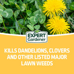 Close-up of dandelions and clover with Expert Gardener logo and text about killing major lawn weeds