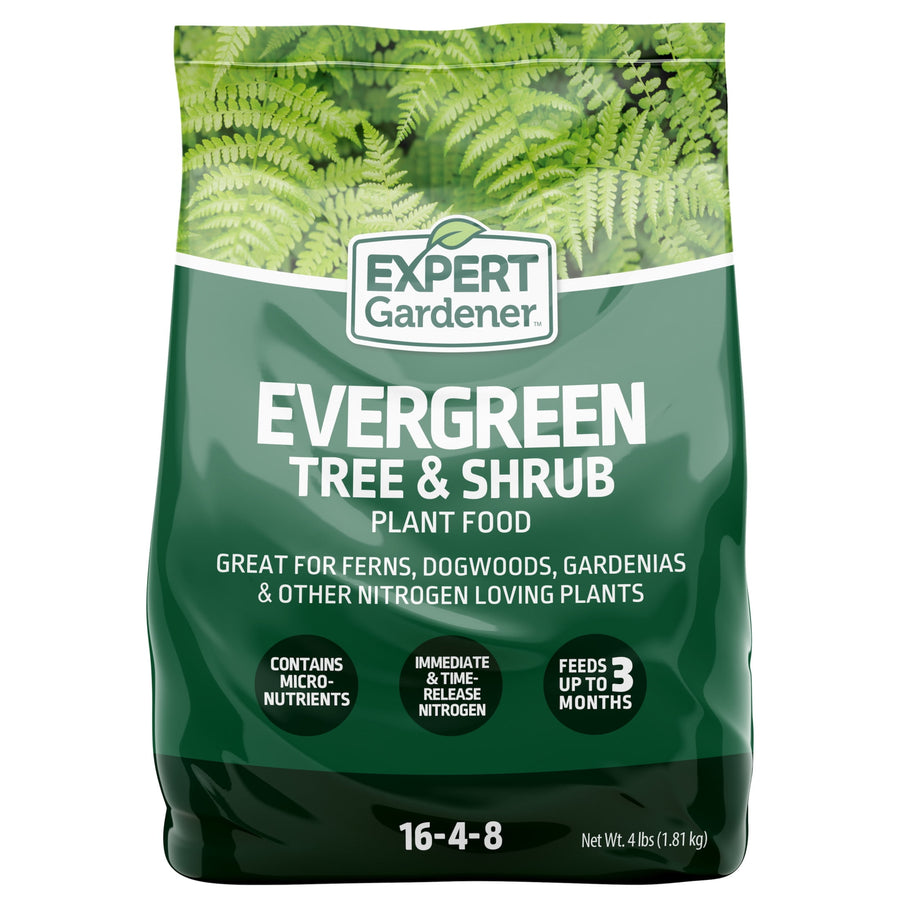 Green Expert Gardener Evergreen Tree & Shrub plant food bag front with logo, product name and NPK 16-4-8 displayed