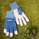 Pair of Expert Gardener blue leather gardening gloves placed on artificial grass next to small succulents