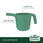 Green ribbed watering can shown with callouts for long sleek spout and large fill hole, Expert Gardener branding panel.