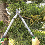 Two hands holding Expert Gardener bypass lopper open against dense evergreen branches