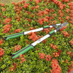 Extendable lopper resting on red flowering groundcover, angled to show handles and cutting head