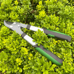 Expert Gardener loppers laid atop dense green groundcover showing blade and green-and-black handles.