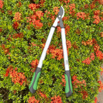 Expert Gardener bypass lopper arranged on a bed of orange-red flowering shrubs