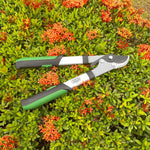 Expert Gardener loppers placed on flowering shrub, visible blade and branded handle against orange blossoms.