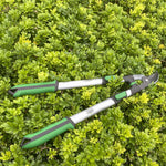 Silver-handled lopper with green grips placed on dense green shrubbery, blade visible at right