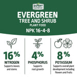 Infographic panel with Expert Gardener logo stating ‘Evergreen Tree and Shrub’ and NPK 16-4-8 with icons for N, P and K percentages