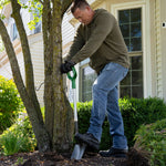 Person pressing a green-handled shovel blade into soil beside a tree, demonstrating digging action