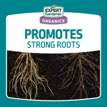 Graphic panel 'Promotes Strong Roots' showing root systems in soil beneath the Expert Gardener logo