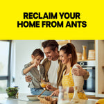 Promotional image with a smiling family cooking in a kitchen beneath large text reading 'RECLAIM YOUR HOME FROM ANTS'.