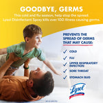 Lifestyle image of a father lifting a child with text about stopping the spread of germs and Lysol branding