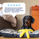 Small black dachshund sitting on a pet bed with a speech-bubble five-star review about using Febreze Fabric to freshen the home.