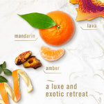 Close-up ingredient-style graphic showing mandarin, amber and lava elements with Febreze Ember candle