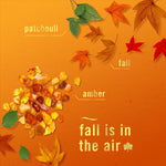 Orange autumn-themed graphic showing amber stones, leaves and words 'patchouli', 'amber' and 'fall is in the air'
