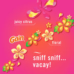 Bright pink graphic with stylized tropical flowers, Gain logo and text reading juicy citrus, floral and sniff sniff... vacay!