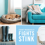 Lifestyle collage showing a dog on a bed, a teal sofa and rain boots with text CONTINUOUSLY FIGHTS STINK and a Febreze plug image