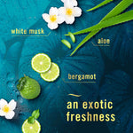 Graphic composition of lime slices, white flowers and aloe with text calling out white musk, bergamot and aloe