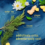 Flat lay graphic of water lily, ginger root, and hinoki sprig on a blue background highlighting fragrance notes and a tagline