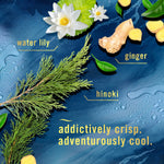 Styled ingredient graphic showing water lily, ginger and hinoki text over a blue textured background evoking the Febreze Ocean scent
