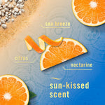 Artistic scent graphic showing orange slices, citrus peel and beach elements with labels like sea breeze, citrus and nectarine.