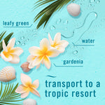 Tropical-themed graphic with plumeria flowers, shells and text naming fragrance notes like gardenia and water