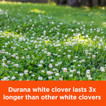 Field of white clover blossoms in grass with promotional orange banner and copy about Durana white clover longevity