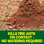 Close view of a soil fire ant mound with many red ants visible and a green banner reading kills fire ants on contact no watering required.