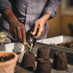 Close-up lifestyle image of hands using Fiskars seed trowel and orange stylus to place seeds into soil pellets