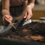 Lifestyle shot of a Fiskars seed trowel and orange stylus being used to sow seeds in a tray of soil