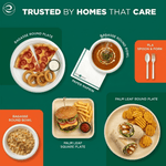 Top-down layout showing bagasse plates and bowls with plated food items and labels highlighting compostable tableware options