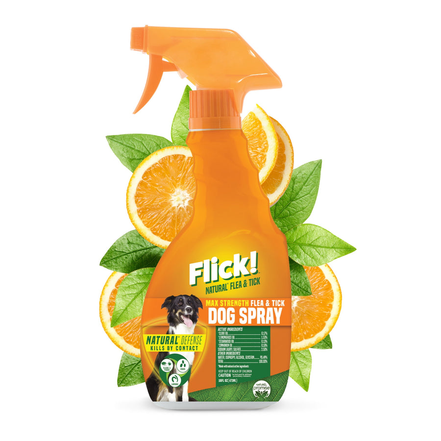 Orange Flick! dog flea and tick spray bottle with citrus slices and green leaves on white background
