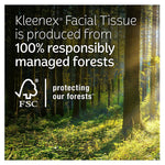 Sunlit forest scene with FSC logo and text stating Kleenex facial tissue is produced from responsibly managed forests