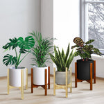 Four mid-century wooden plant stands in light and dark finishes displayed with potted green plants in a bright room