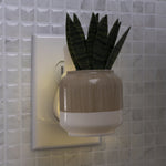 Fragrance plug with faux snake plant leaves illuminated by a soft warm LED while plugged into a wall outlet over tile