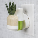 Fragrance plug with wood-grain top and faux snake plant leaves inserted into a wall outlet next to a translucent green oil refill