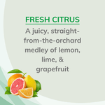 Graphic panel reading “FRESH CITRUS” with descriptive text and an illustration of grapefruit, orange and lime at the corner.