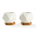 Front view of two white faceted ceramic succulent pots sitting on matching bamboo hexagonal trays