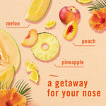 Graphic of melon, pineapple and peach slices with text "a getaway for your nose" and ingredient labels