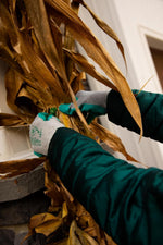 Hands wearing G & F grey knit gloves with teal-coated palms handling dried plant material near a wall.