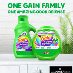 Styled product shot of Gain liquid bottle and Gain tub side by side on a laundry surface with headline 'One Gain family'