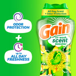 Gain in-wash scent booster bottle with icons for odor protection and all day freshness on a green background.