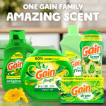 Assortment of Gain products including detergent, flings, dryer sheets and a scent booster bottle with the headline 'One Gain Family Amazing Scent'.