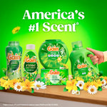 Assortment of Gain products including rinse out odor bottle, detergent, flings and dryer sheets with 'America's #1 Scent' text