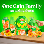 Assortment of Gain laundry products including scent booster, detergent and dryer sheets with floral foreground