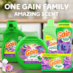 Grouped Gain product family including Moonlight Breeze liquid detergent, Flings, fabric softener, scent booster and dryer sheets with headline 'ONE GAIN FAMILY AMAZING SCENT'.