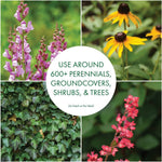 Collage of flowering perennials and groundcover surrounding a central circle reading 'USE AROUND 600+ PERENNIALS, GROUNDCOVERS, SHRUBS, & TREES'.