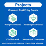 Blue infographic titled 'Projects' showing common pest entry points like wiring, plumbing, HVAC, and basements.