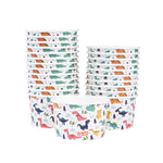 Multiple stacks of Glad For Kids dinosaur printed paper snack bowls displayed on white background