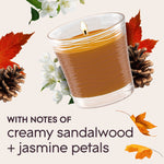Glade Cashmere Woods lit candle with jasmine blossoms, pine cones and autumn leaves, noting creamy sandalwood scent
